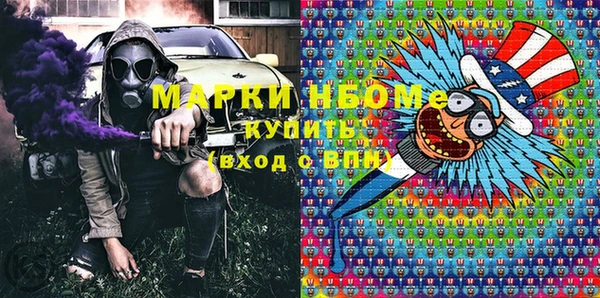 индика Володарск