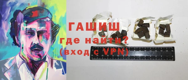 индика Володарск