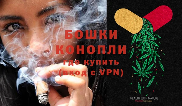 индика Володарск