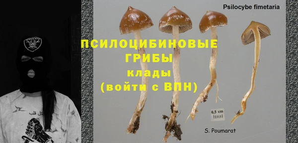 тгк Вяземский