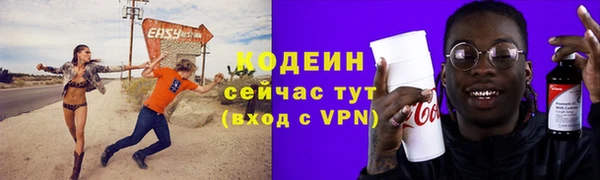 индика Володарск