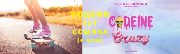 индика Володарск