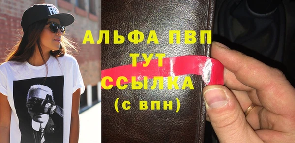 индика Володарск
