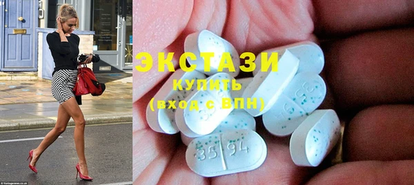 индика Володарск